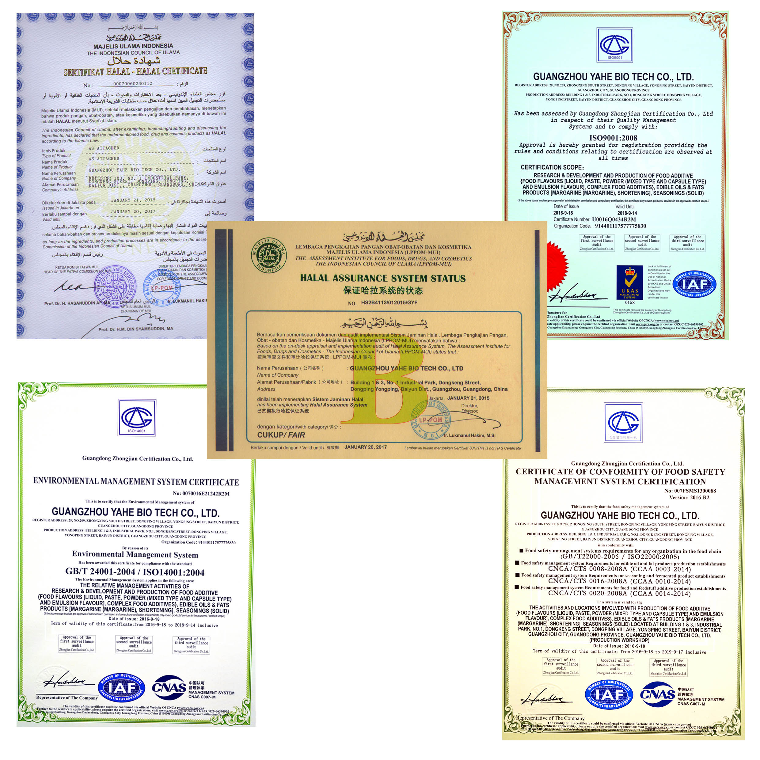 HALAL certificate and ISO certificate of YAHE company