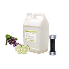 Perfume Oil Fragrance